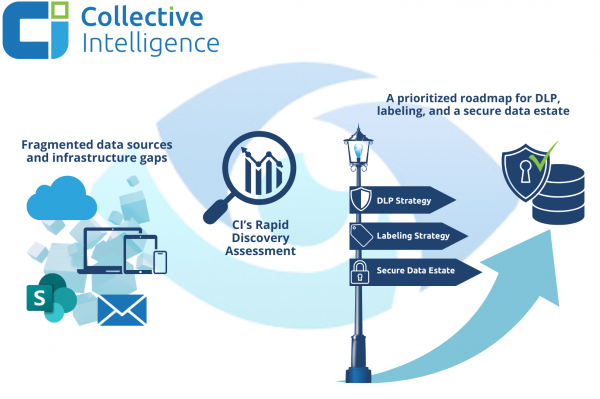Purview Assessment